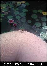 Schöne Bilder, die Ihr mit Euren Windows Phones gemacht habt.-wp_000190-2-.jpg