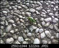 Schöne Bilder, die Ihr mit Euren Windows Phones gemacht habt.-wp_000196-2-.jpg