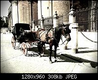 Schöne Bilder, die Ihr mit Euren Windows Phones gemacht habt.-kutsche.jpg
