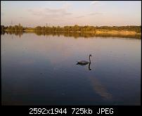 Schöne Bilder, die Ihr mit Euren Windows Phones gemacht habt.-wp_000865.jpg