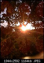 Schöne Bilder, die Ihr mit Euren Windows Phones gemacht habt.-wp_000866.jpg