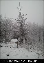 Schöne Bilder, die Ihr mit Euren Windows Phones gemacht habt.-wp_000013.jpg