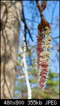 WP7 Wallpaper by KarstenS-2012_03b.jpg
