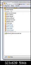 Windows Phone Messenger - Flory-unbenannt.jpg