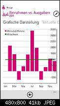 Personal Budget, Haushaltsbuch für WP7-5.jpg