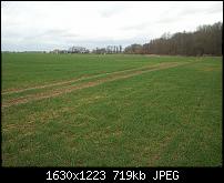 Own this World pocketpc.ch Allianz-wp_000430.jpg