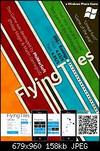 FlyingTiles-407509_307851835932344_264790306905164_979622_1602036829_n.jpg