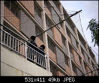 Windows Phone 8 - Der neue Stern?-news_pic_1329791378478.jpg