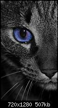 [Wallpaper Sammlung] Postet Eure liebsten Wallpapers.-magic-eyeswp.jpg