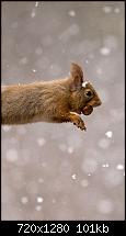 Zeigt her eure Homescreens-insider_20131222_102835.jpg