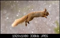 Zeigt her eure Homescreens-de-de1920x108023_12_2013-1-.jpg