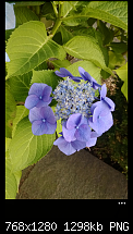 Problem mit Onedrive Synchronisation-wp_ss_20140220_0001.png