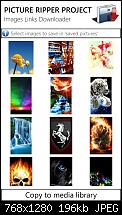 Picture Ripper Project - Massen Bilder Downloader - Lockscreen cycle - Tile cycle-wp_ss_20130408_0005.jpg