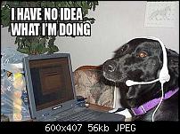 [Offizielle App] WhatsApp-i-have-no-idea-what-i-doing-17.jpg