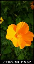Xiaomi Mi4 Kamera Qualität-2014-09-04-16.16.43.jpg