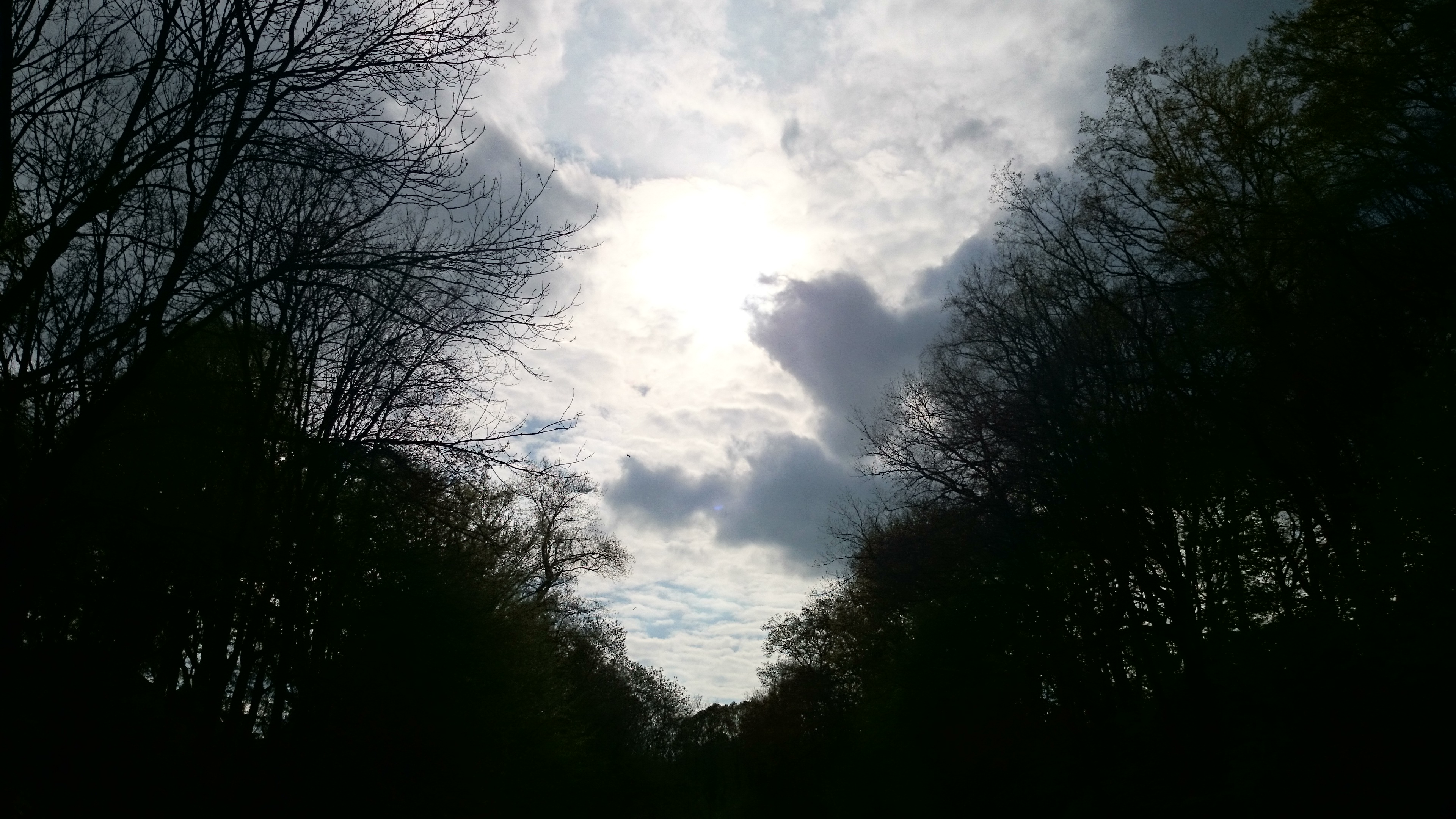 Sony Xperia Kamera Anleitung - Wie finde ich die besten Einstellungen-gegenlicht1.jpg