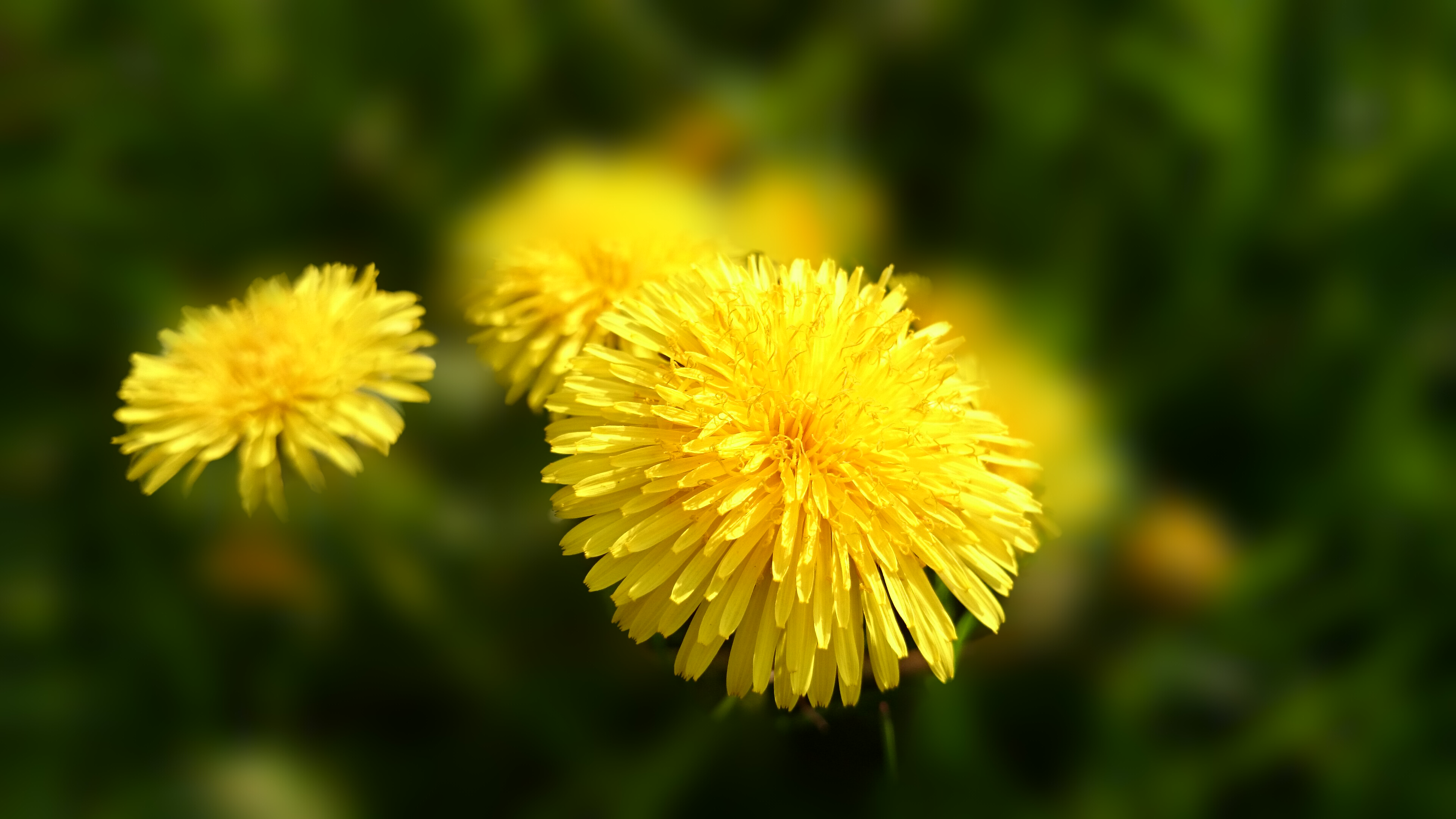 Sony Xperia Kamera Anleitung - Wie finde ich die besten Einstellungen-20140422_175423.jpg