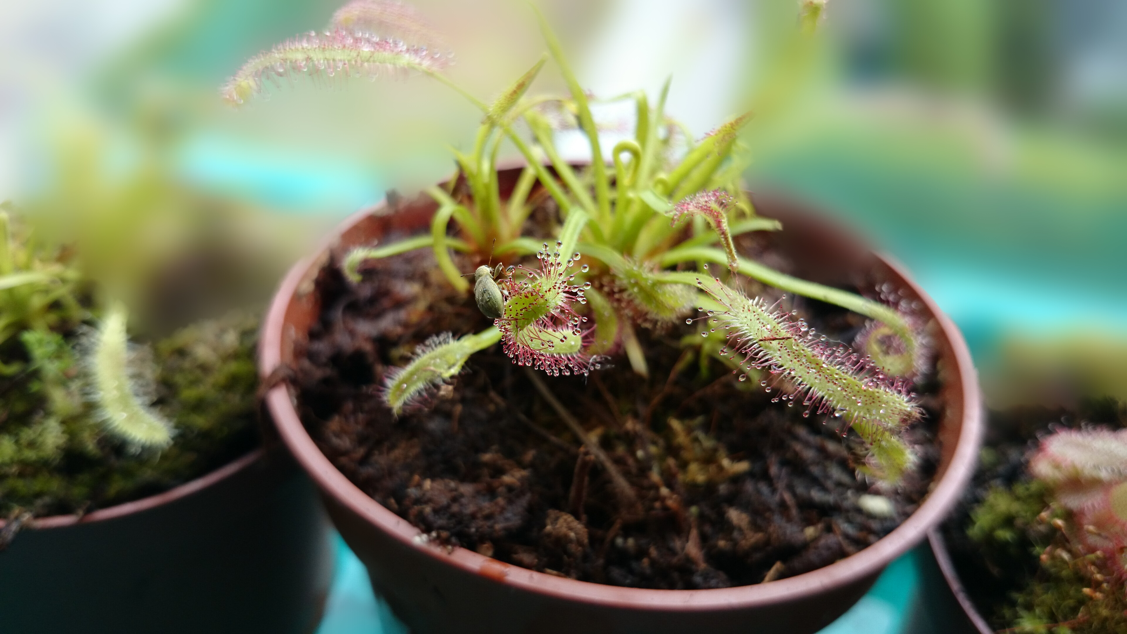 Sony Xperia Kamera Anleitung - Wie finde ich die besten Einstellungen-20140426_153931.jpg