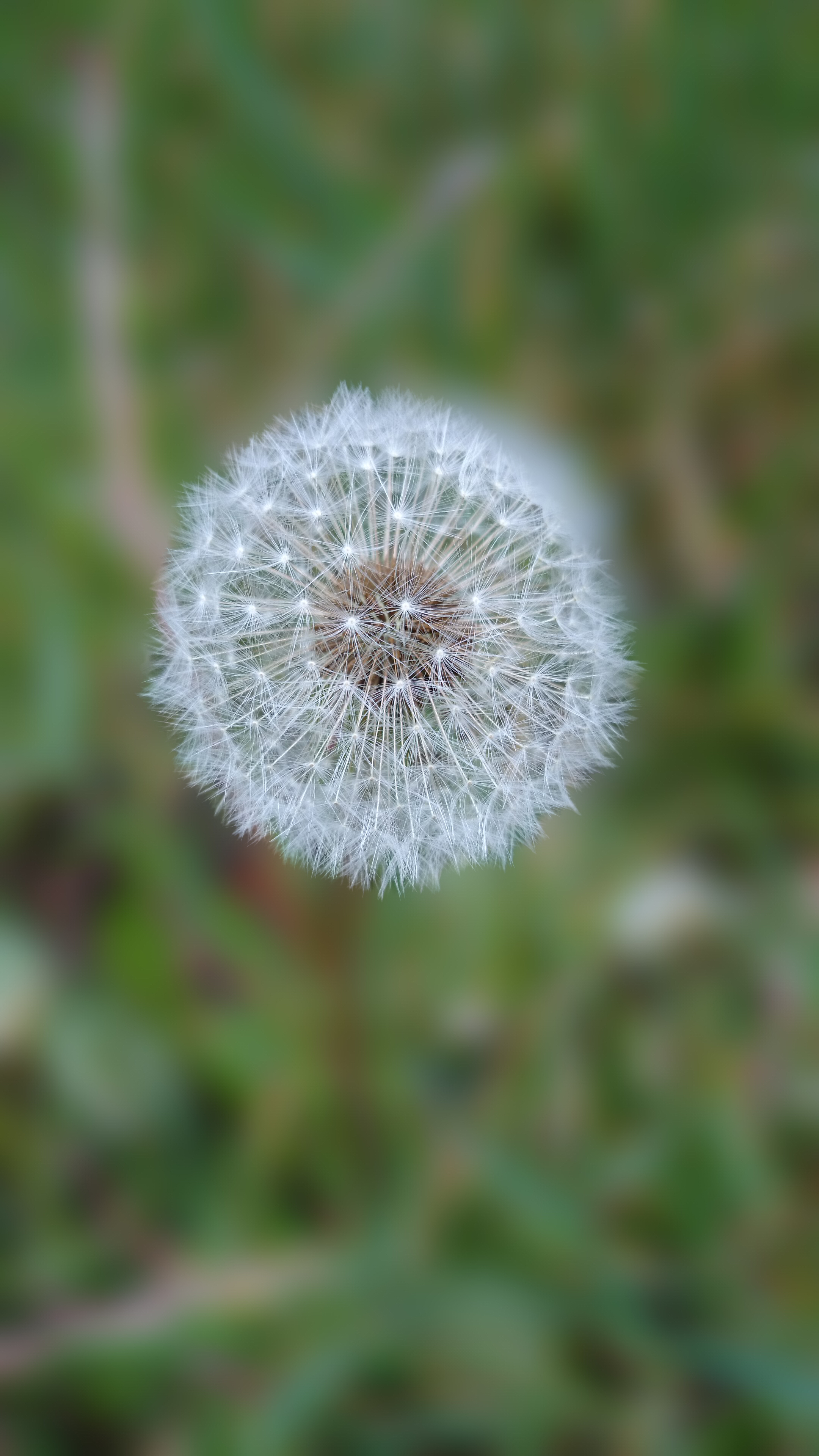 Sony Xperia Kamera Anleitung - Wie finde ich die besten Einstellungen-20140428_145140.jpg