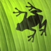 Avatar von Swippy