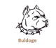 Avatar von Buldoge