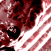 Avatar von Horacio