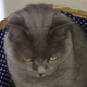 Avatar von hrothgar71