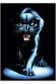 Avatar von ursus06