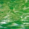 Avatar von greenwhite