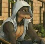 Avatar von 1Dobermann1