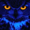 Avatar von Joe