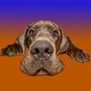 Avatar von URi2