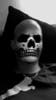 Avatar von Wotan18m