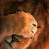 Avatar von grt