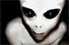Avatar von robopunk