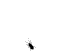 Avatar von netbus