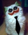 Avatar von PhaseIV