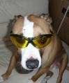 Avatar von california_uhu