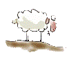 Avatar von mae`