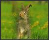 Avatar von bequick