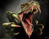 Avatar von raptor69