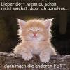 Avatar von Garnelchen