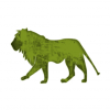 Avatar von GreenLion