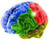 Avatar von Trading-Brain