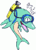 Avatar von diver40