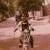 Avatar von Shahin Sheriat