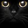 Avatar von chrisper