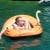 Avatar von Dunger Marcus
