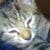 Avatar von Carlito Raphael Bollin