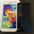iPhone 6 vs. Galaxy S5